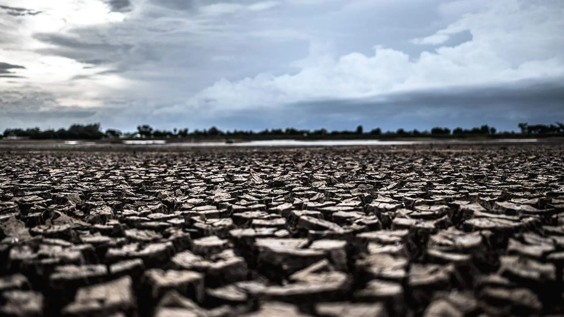 Es sabido que cuando llegan las temporadas de calor comienza la escasez del agua y tal es la relevancia de este hecho que es catalogada como una 'amenaza fantasma'